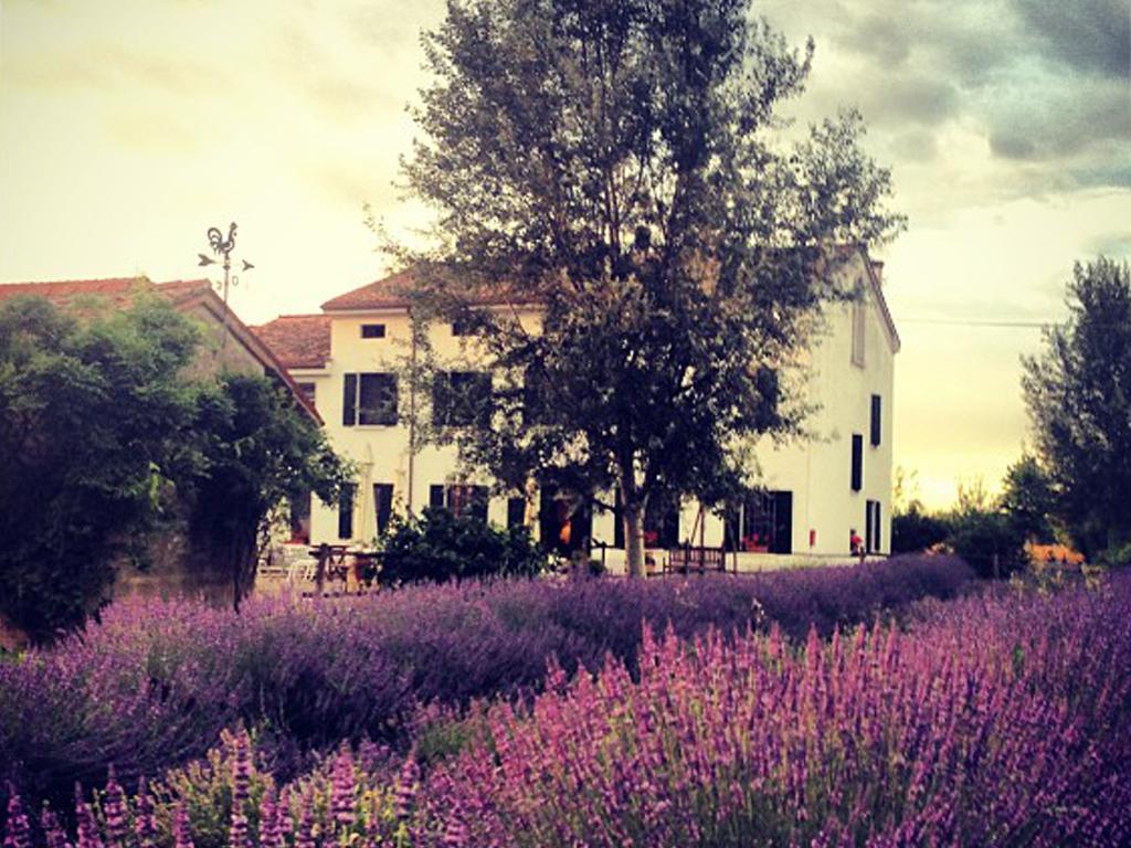 Agriturismo Viridarium Castellucchio Dış mekan fotoğraf