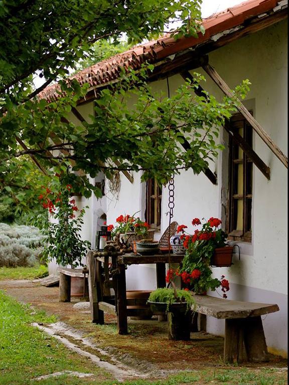 Agriturismo Viridarium Castellucchio Dış mekan fotoğraf